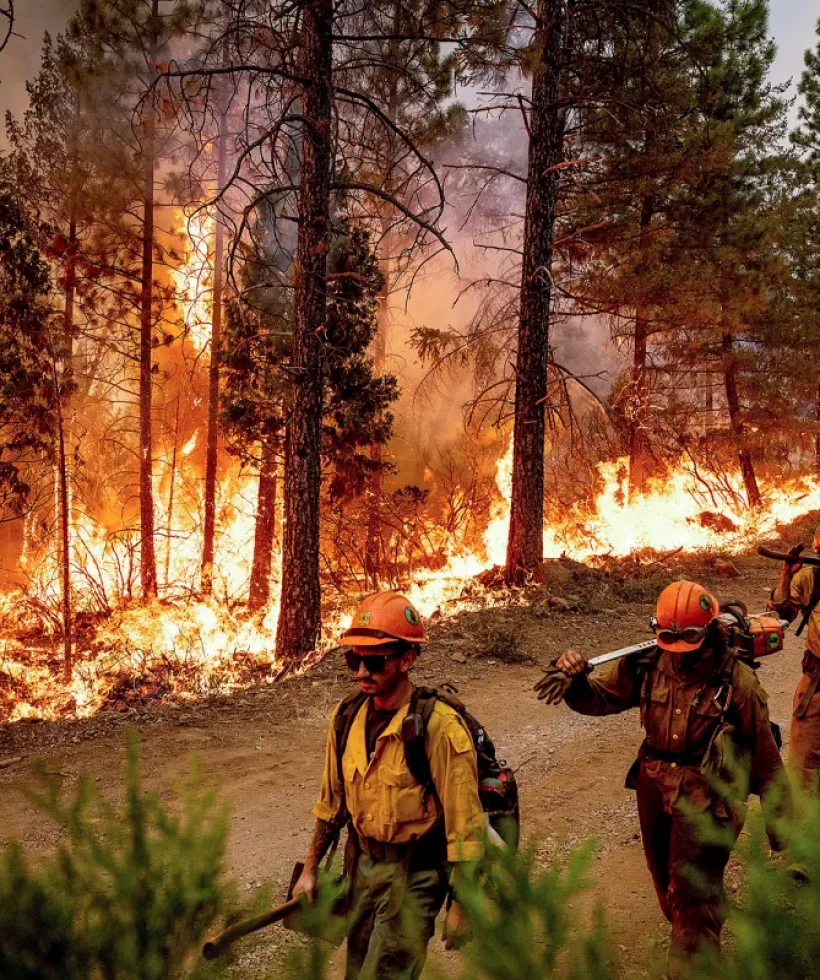 112822-WildFire-NB-AP-CM-1